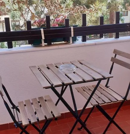 Pinho Sao Pedro De Moel