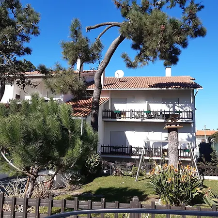 Pinho Sao Pedro De Moel